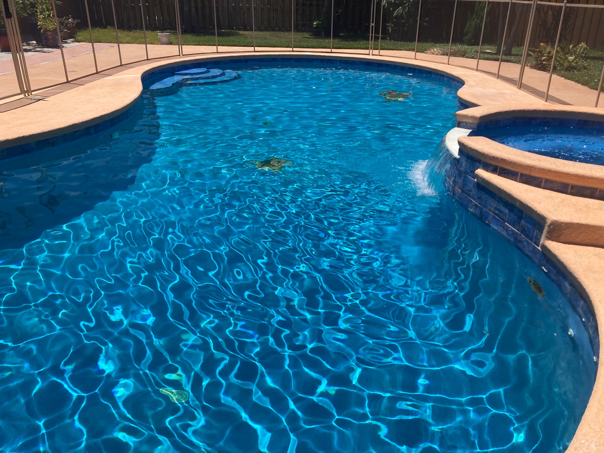 sparkling clean commercial pool setup in Palm City business resort